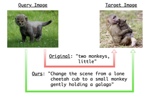 good4CIR_CVPRW_png